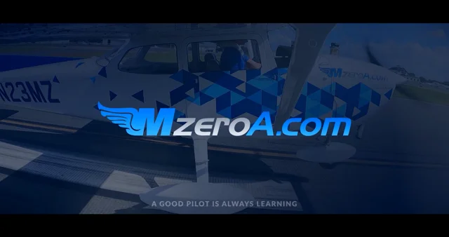 Merozoa – Medium