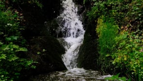 waterfall, creek, trees