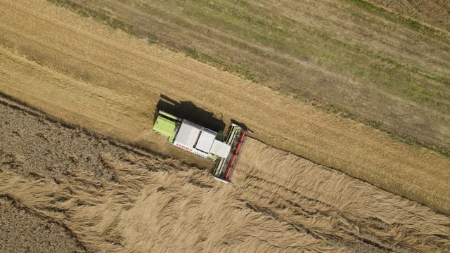 Barley Field Tractor - Free Video On Pixabay