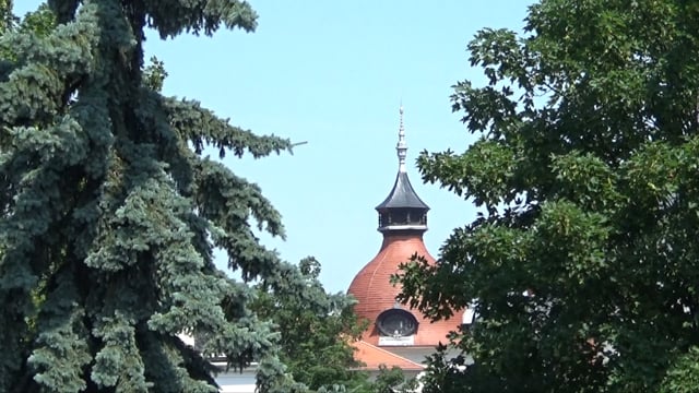 Vimeo Thumbnail (API)