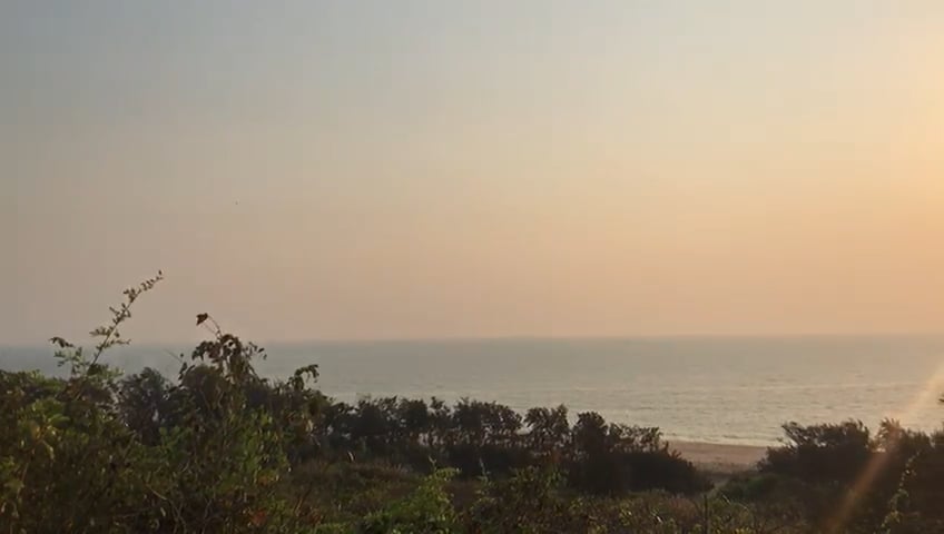 https://i.vimeocdn.com/video/1201757550-ef4b73b19c1974d3ec38329cd9adb4d72502baba8b9ae821e560996e25a24d58-d