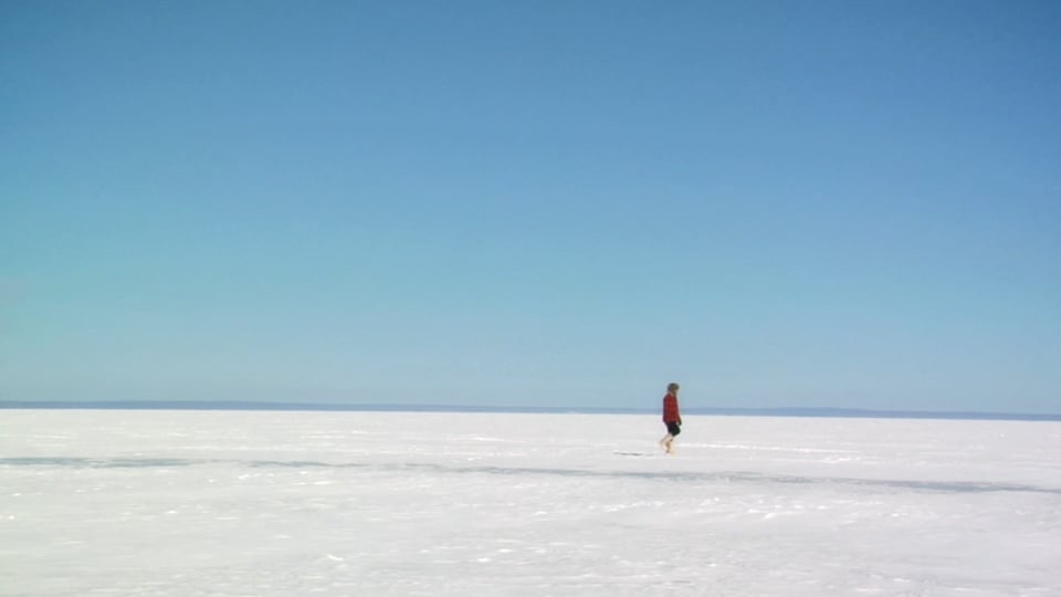 Island, The