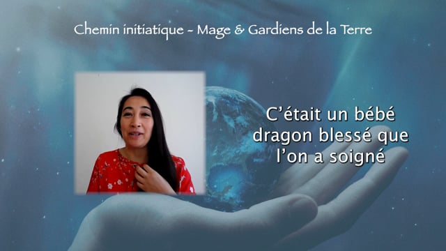 Partie 3 - Connexion avec l'élément TERRE et la forêt
