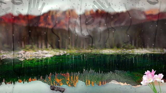 Paisajes Flores Paisaje - Free video on Pixabay - Pixabay
