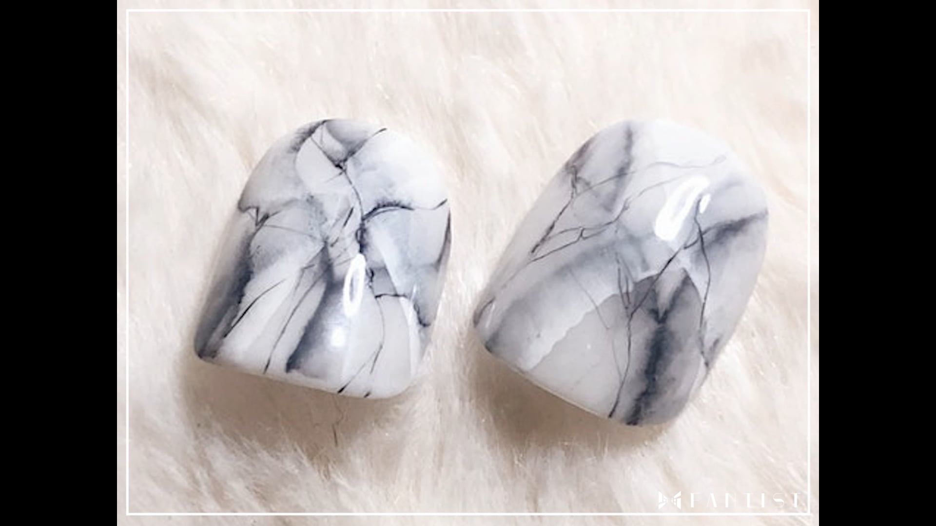 予告編動画のサムネイル画像
