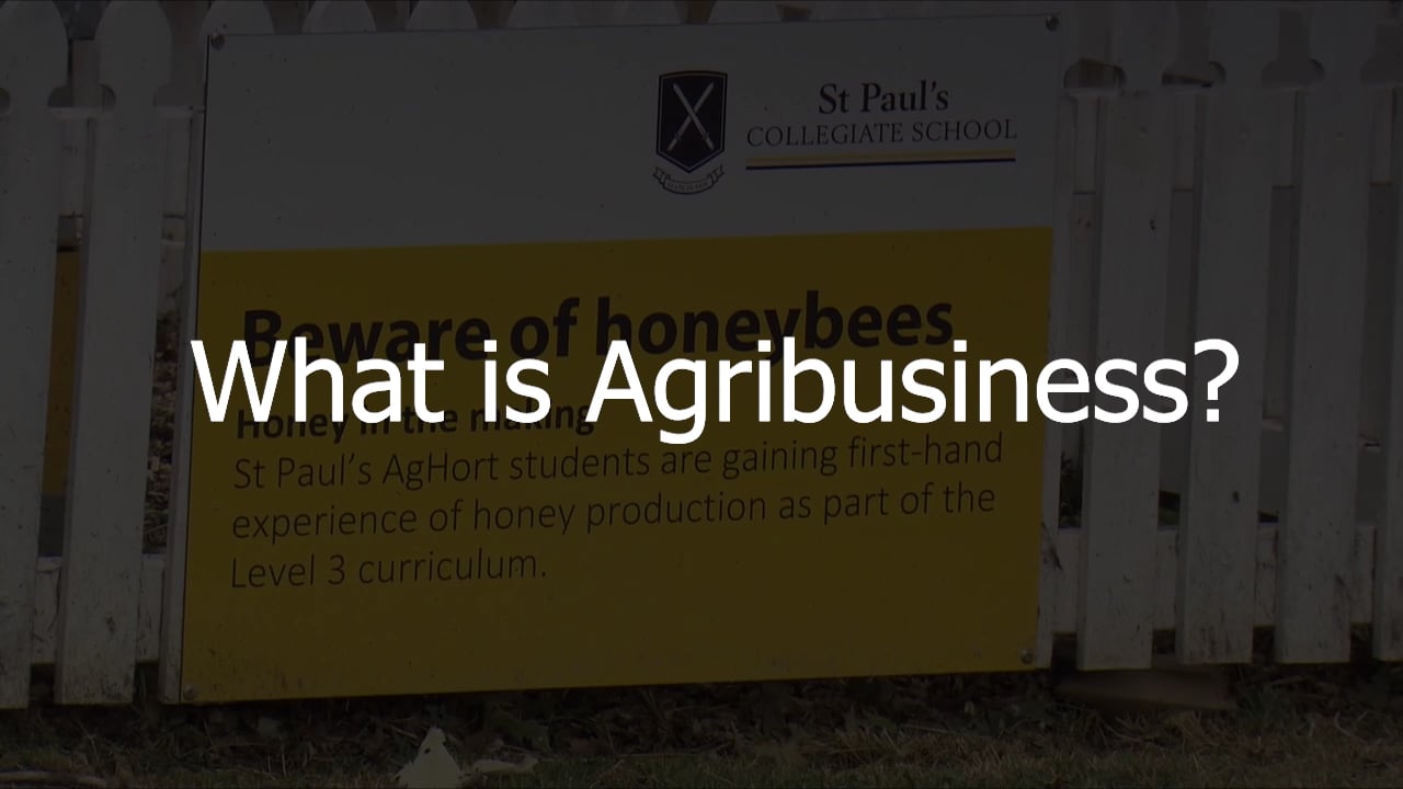 What is Agribusiness?