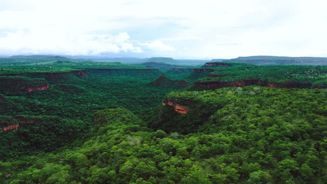 Mais de 20.000 vídeos grátis em HD e 4K de Natureza e Panorama