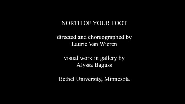 Laurie Van Wieren - North of Your Foot