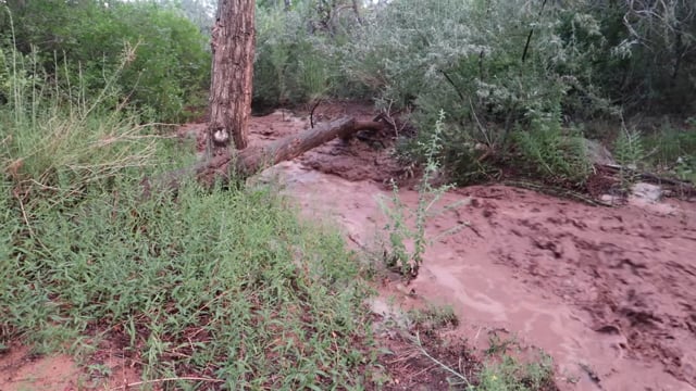Flash Flood, July 30, 2021.mp4