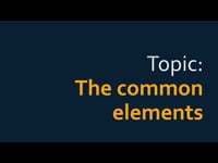 Common Elements in Successful Strategies