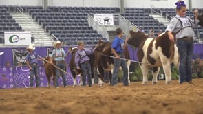2021 Show Steer Junior Nationals