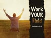 Sunday Morning Message: August 1st - "Work Your Field"