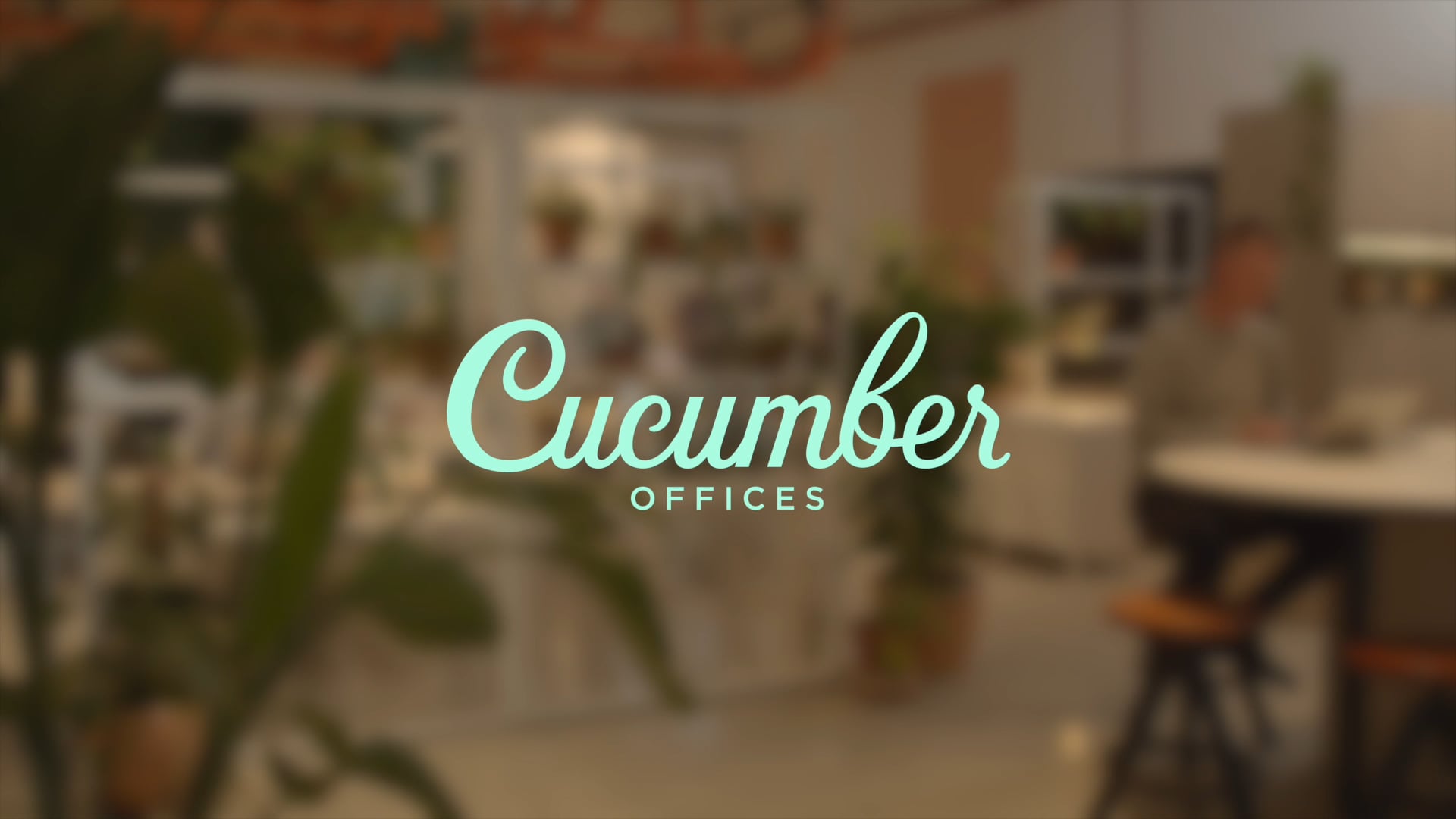 Cucumber Offices | Promotional Video