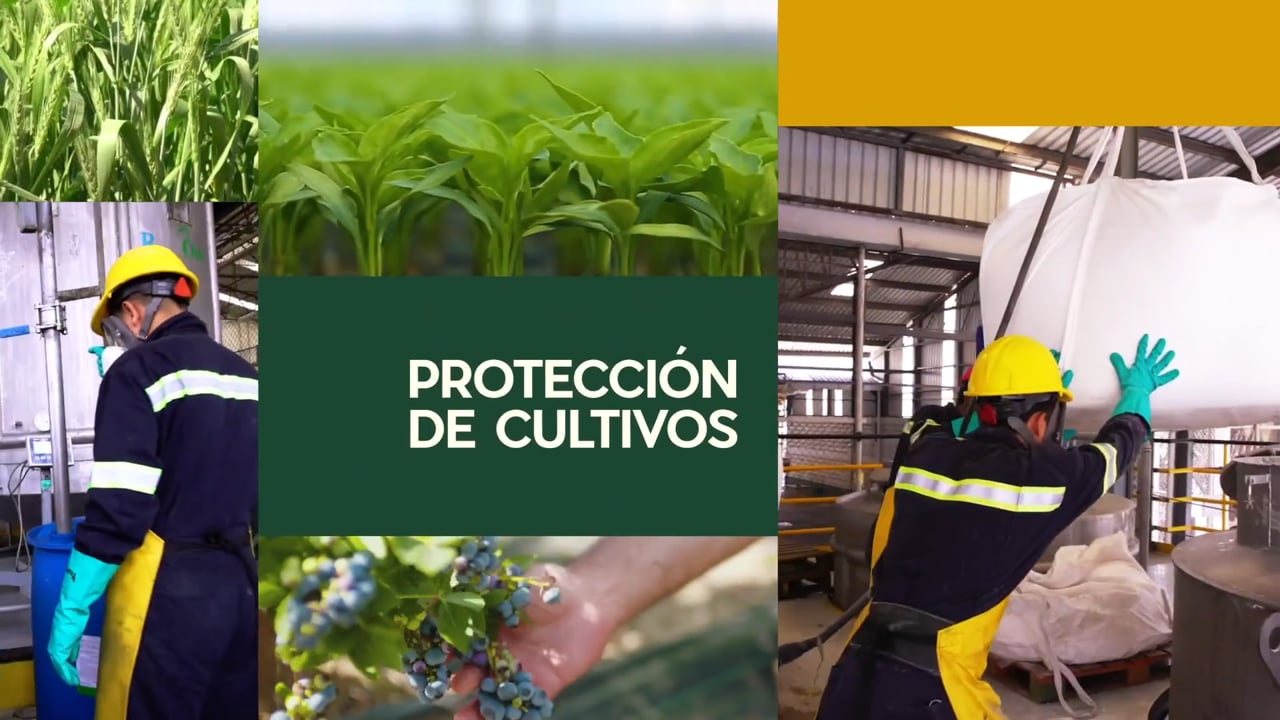Video Disagro Español