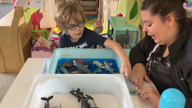 2.08.21 imaginary play - joint attention - water and sea creature play