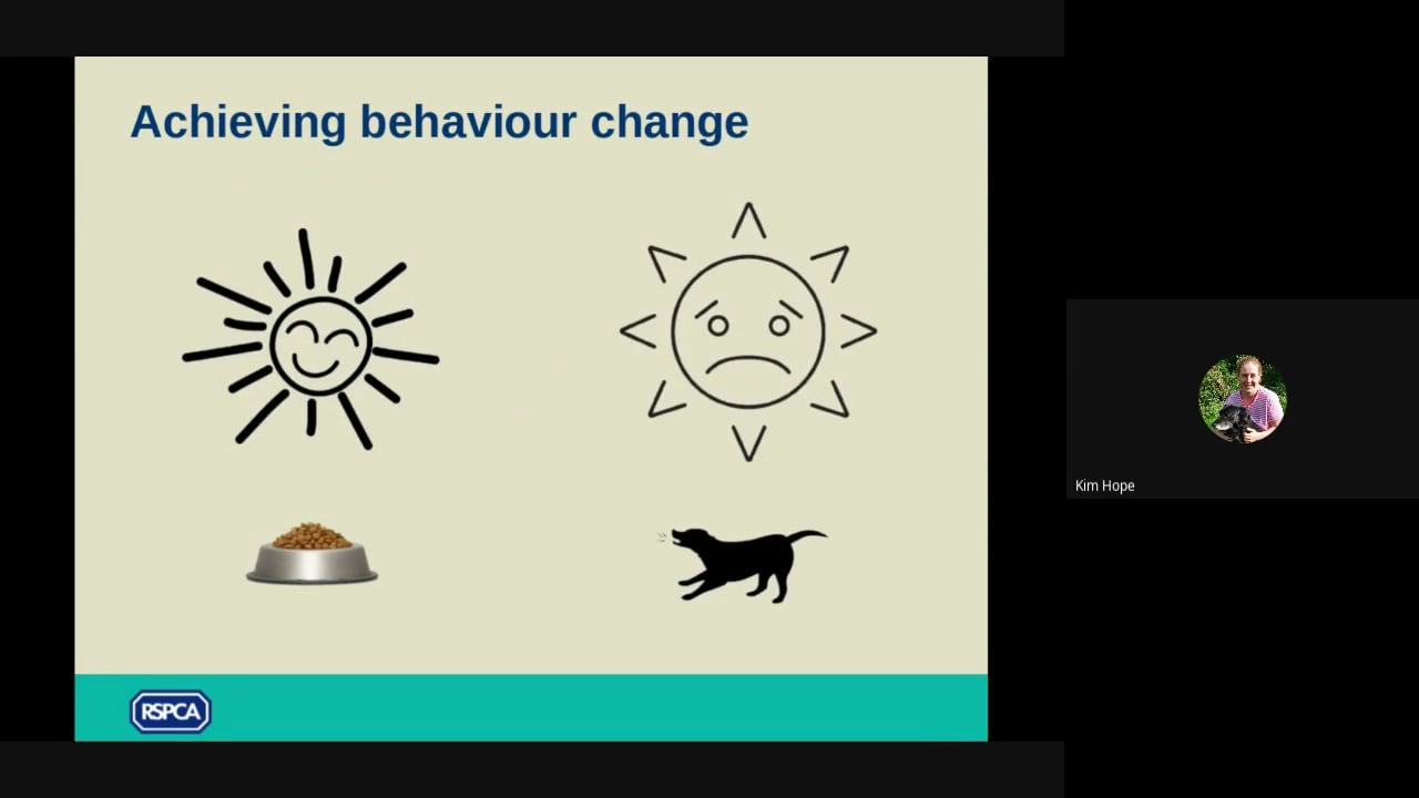 Dogs Aggressive to other dogs Part 3 of 4: achieving behaviour change