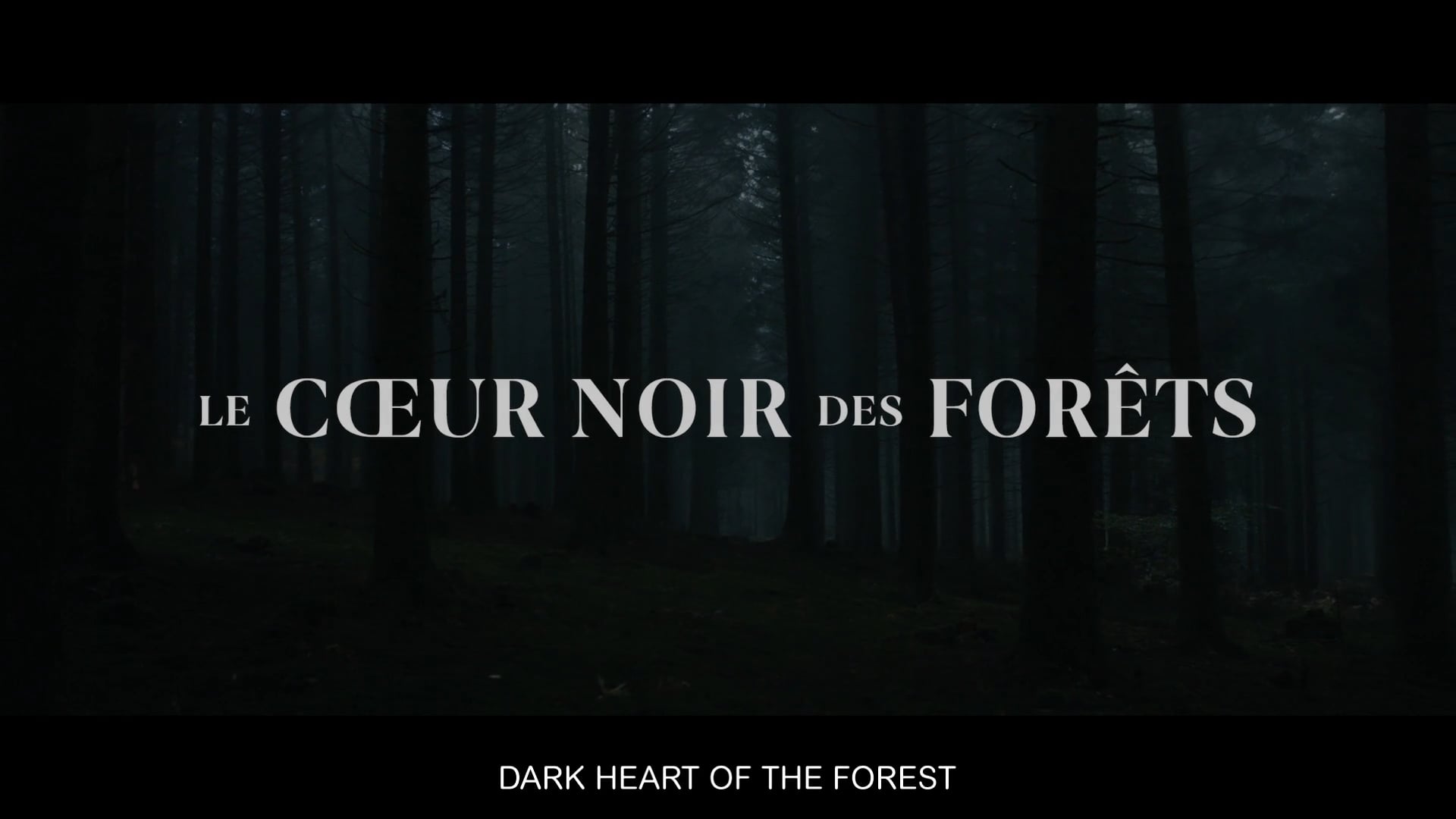 Le Coeur Noir des Forêts / Dark Heart of the Forest - Trailer (eng subs) on  Vimeo