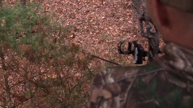 Whitetail Deer Hunting (2) with Jeremy Ballantine