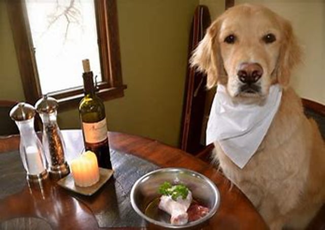 What a Cancer Victim Needs