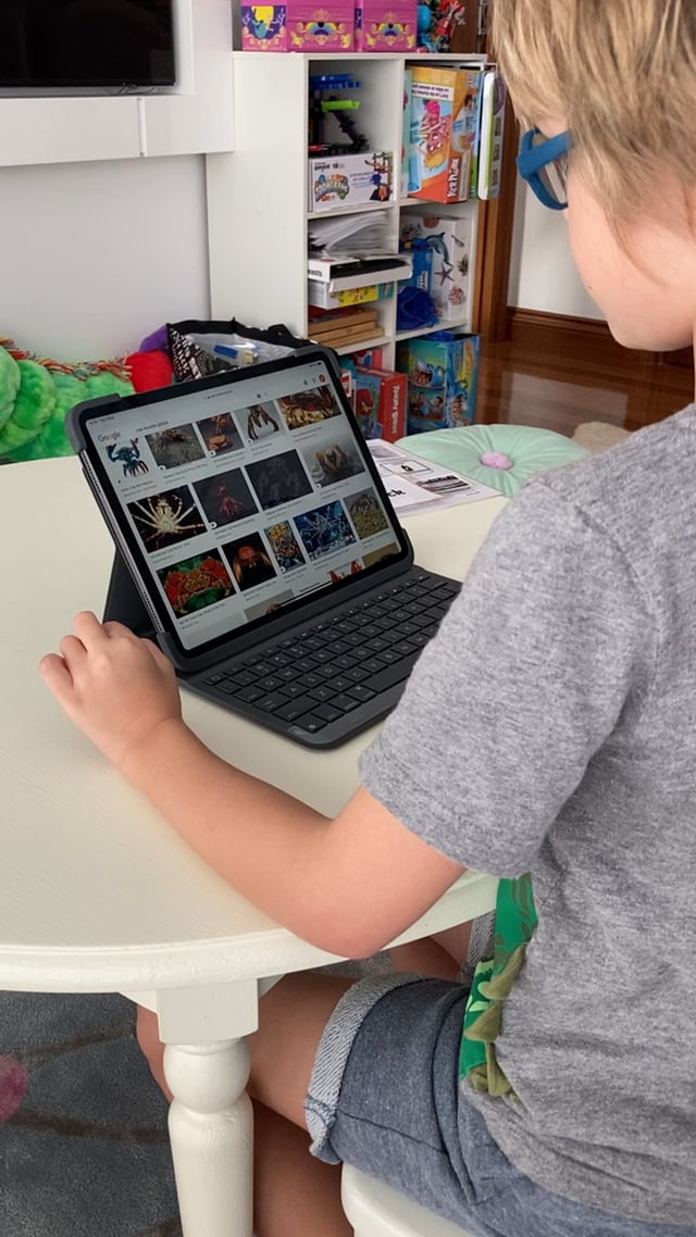 3.08.21 - looking at crab monster pictures