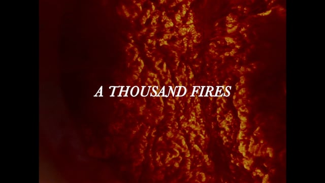 A Thousand Fires - official trailer