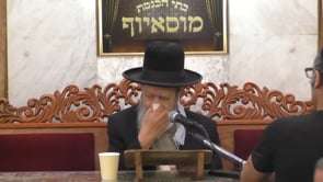 דיני השמיטה וקדושת השביעית מנחם אב תשפא