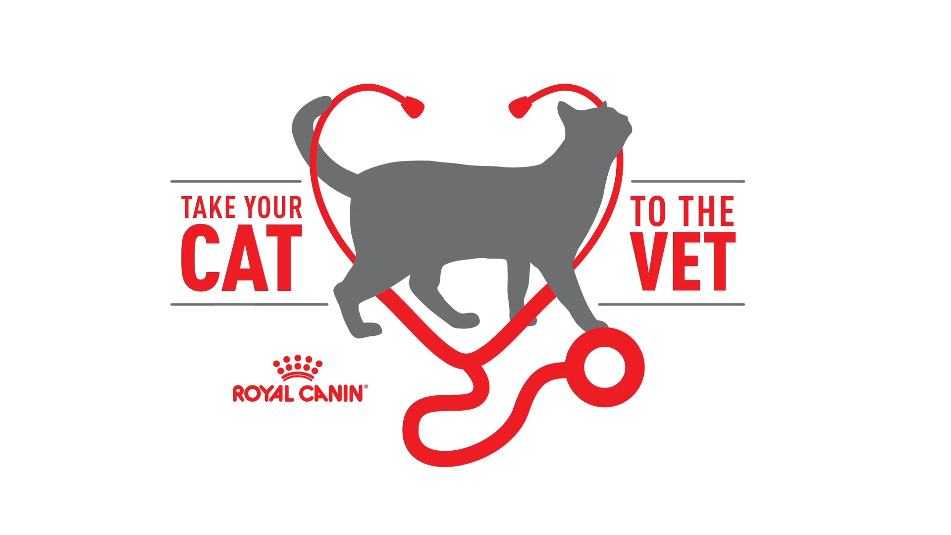 Cat2Vet Overview