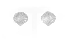 Italian Sterling Silver Sparkle Seashell Earrings