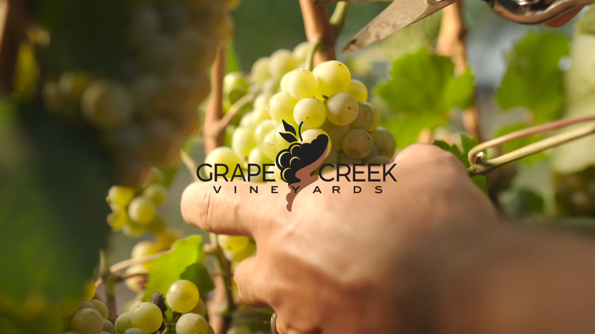 Grape Creek Vineyards