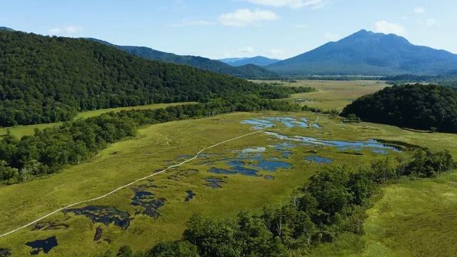尾瀬総合学術調査 ドローン映像の紹介　Introduction of drone footages of Oze National park