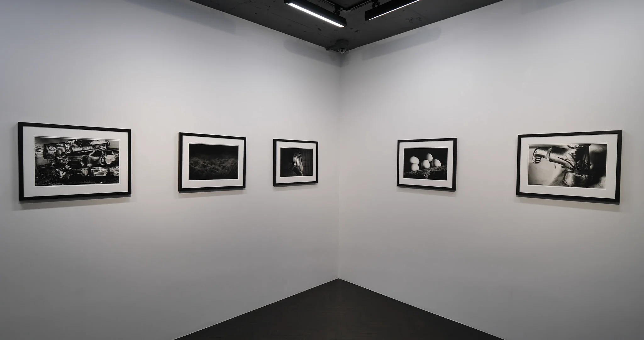 DOGRA MAGRA 』 - 過去の展覧会 | AKIO NAGASAWA