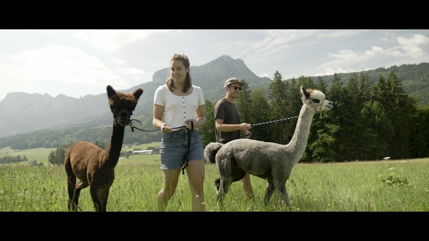 vimeo-video-thumbnail