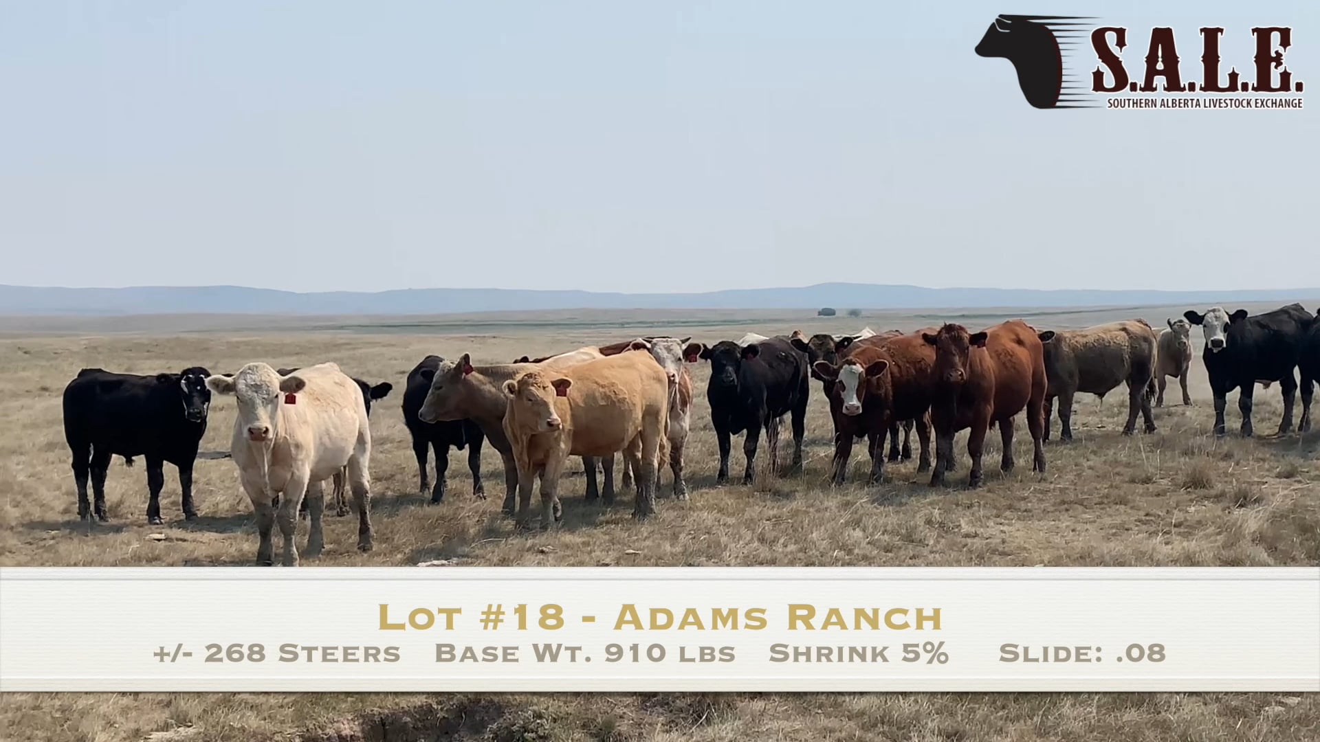 Lot 18 ADAMS RANCH 268 STRS on Vimeo