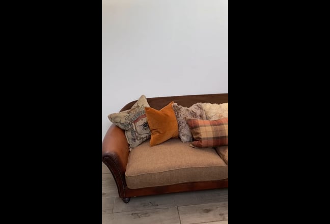 Video 1: