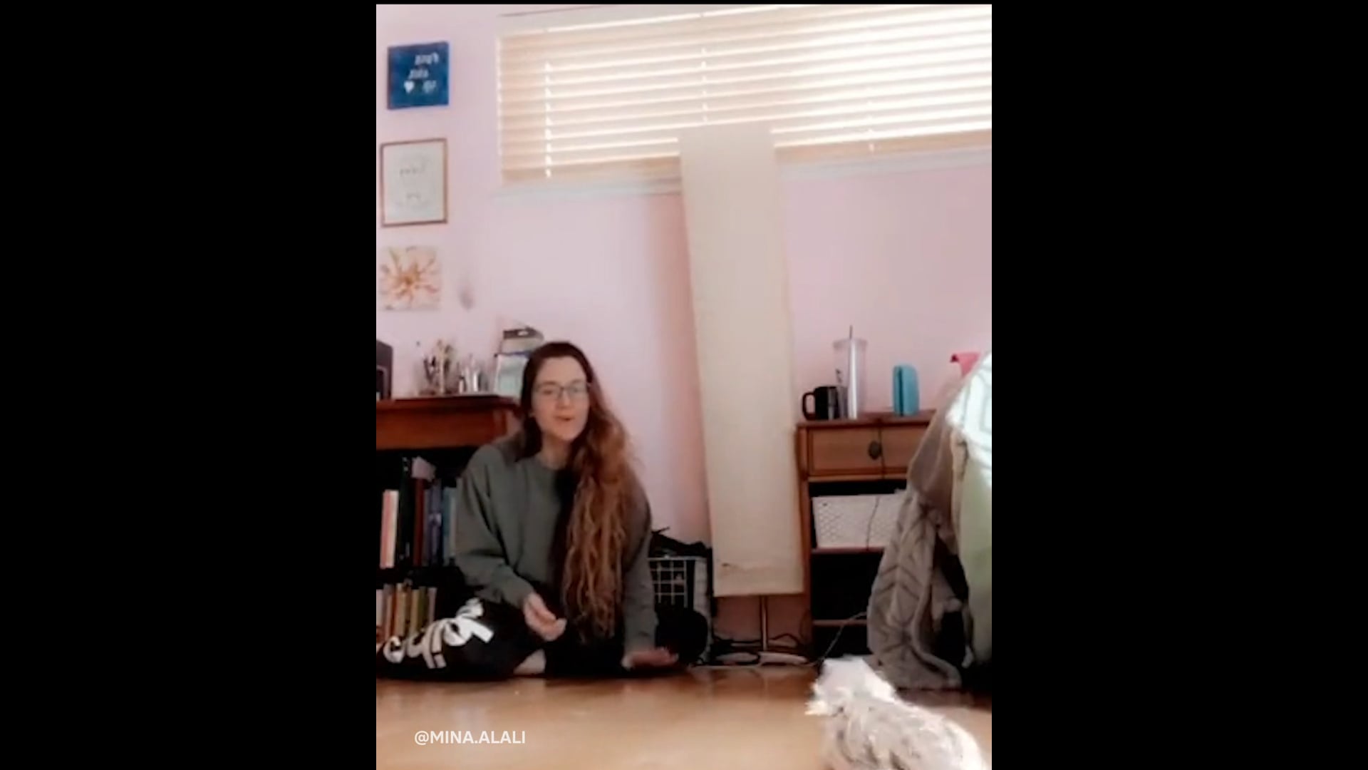 BuzzFeed News "Did You See This" TRAIN YOUR DRAGON