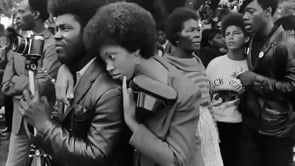 The Black Panthers: Vanguard of the Revolution