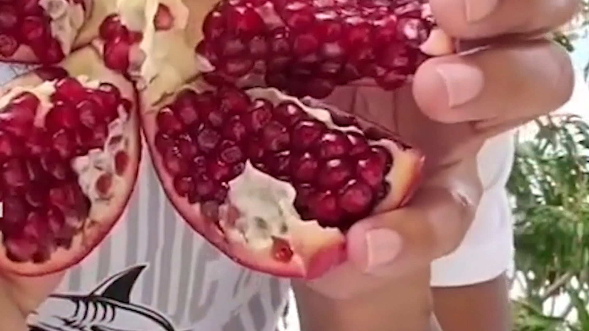 BuzzFeed News "Did You See This" NATURE’S CEREAL