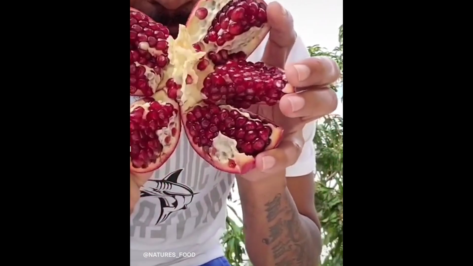 BuzzFeed News "Did You See This" NATURE’S CEREAL