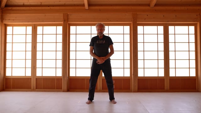 James Fox - Taoist Yoga Practice - 2021