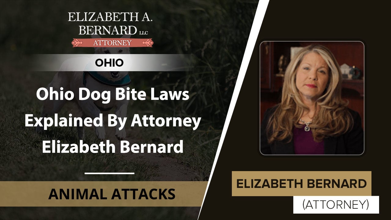 Ohio Dog Bite Laws Explained By Attorney Elizabeth Bernard Animal