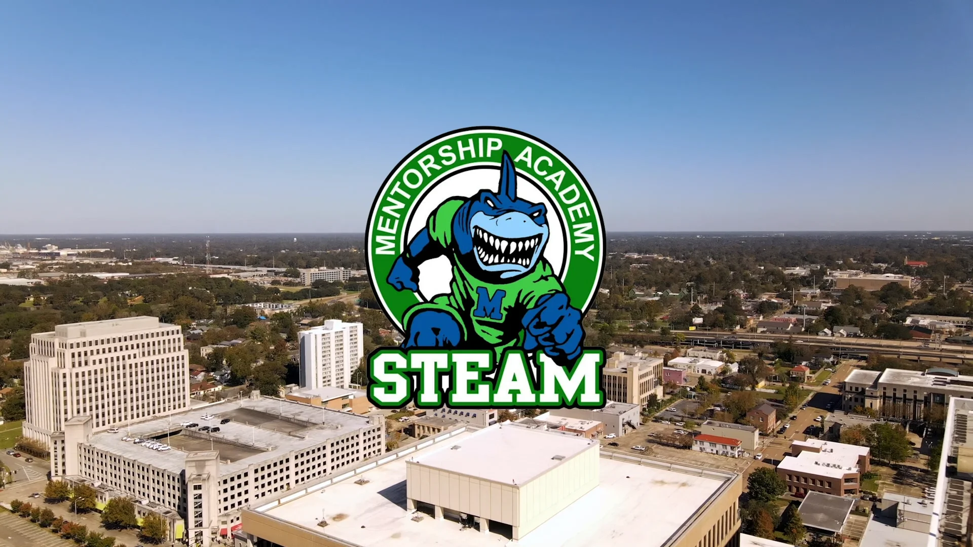 Mentorship STEAM Academy