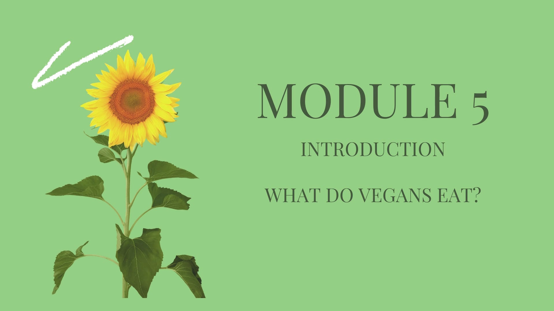 Module 5 Introduction on Vimeo