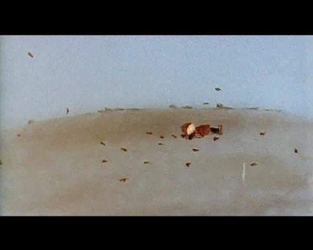 leaf by aucb - paint on glass animation
