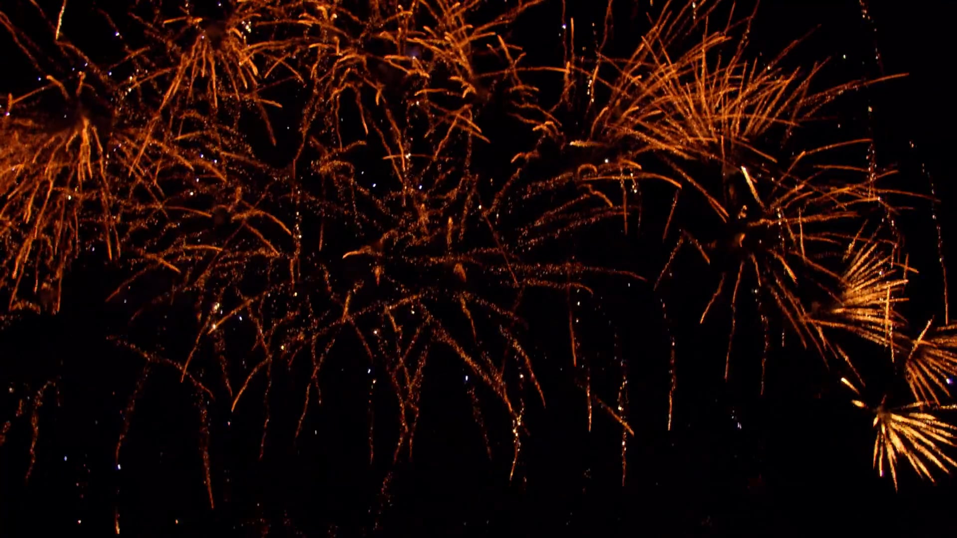 Fireworks at Trinity Park