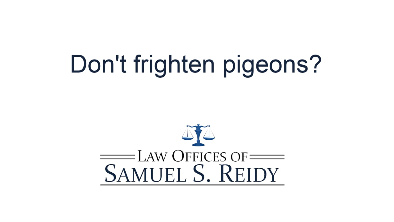 Don't frighten pigeons?