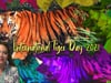 2021 International Tiger Day Raises $29,000!