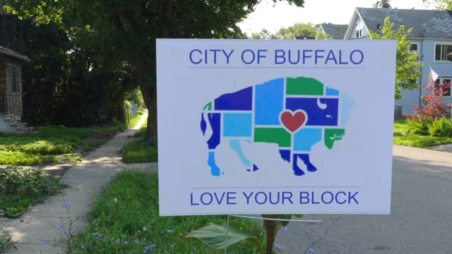 EDOH Buffalo 2021