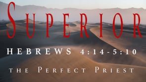 The Perfect Priest
