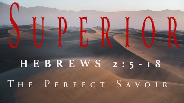 The Perfect Saviour
