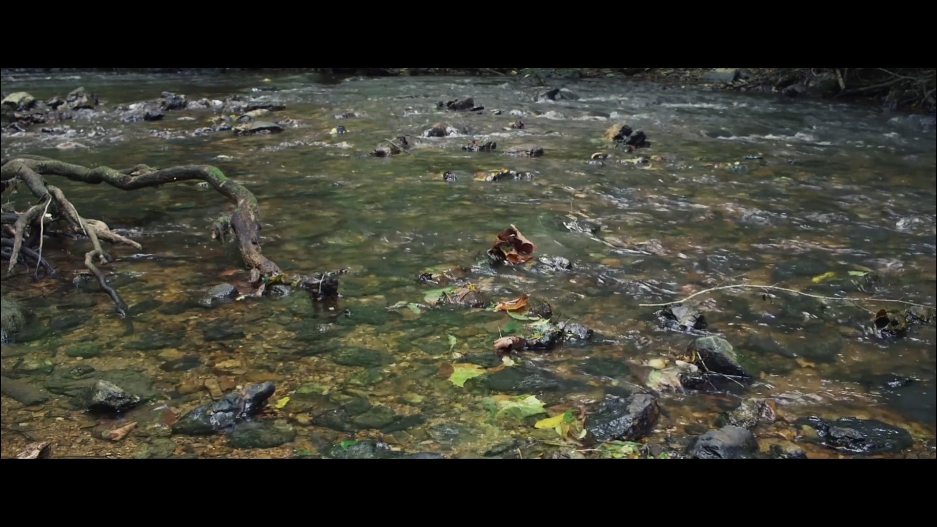 Streams with music.